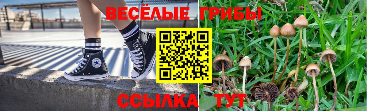 Псилоцибиновые грибы ЛСД Братск
